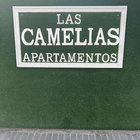Yumbo Appartamenti Las Camelias Playa Del Ingles Экстерьер фото