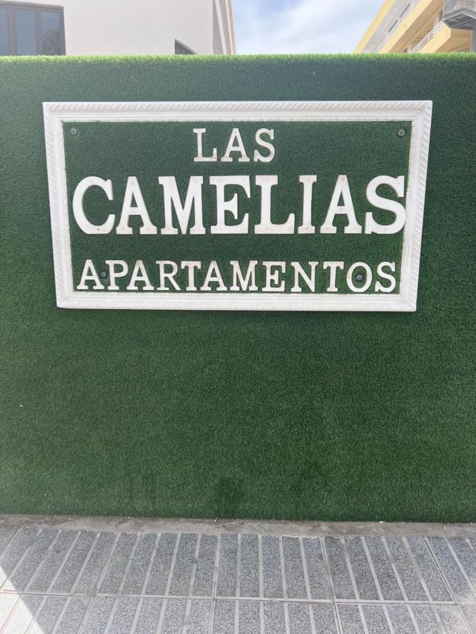 Yumbo Appartamenti Las Camelias Playa Del Ingles Экстерьер фото
